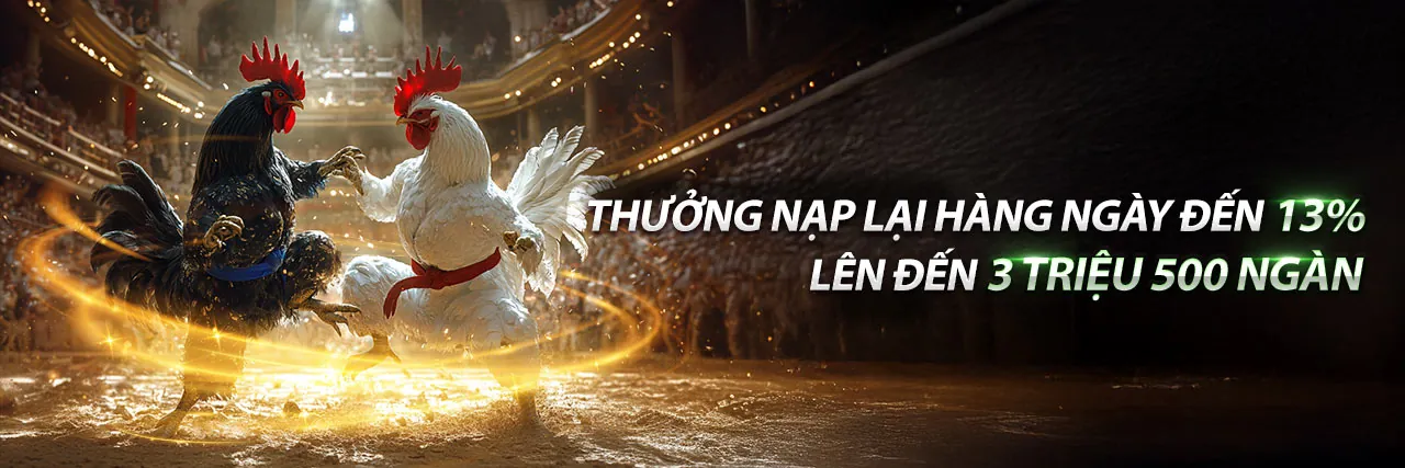 Sân chơi đá gà trực tuyến kịch tính tại tx666 chính thức 2026